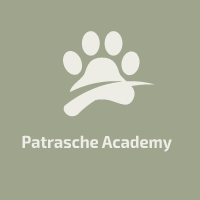 logoPatrasche Academy
